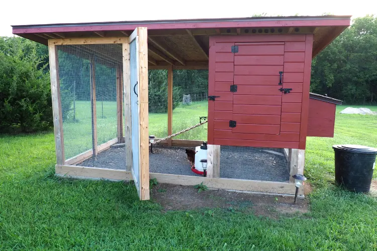 coop with sand bedding