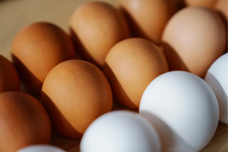 Are White and Brown Eggs Different
