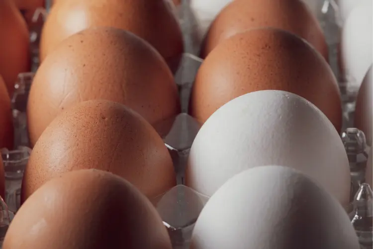 Is There a Difference in Health Benefits between Brown and White Eggs