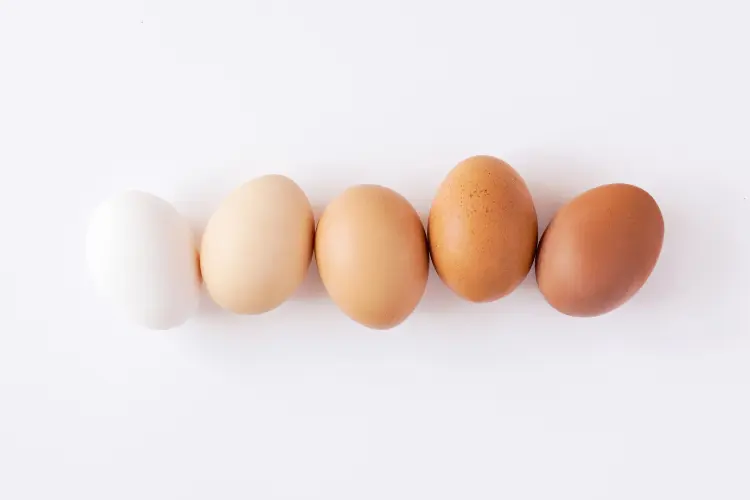 So, Are Brown Eggs Better Than White Eggs