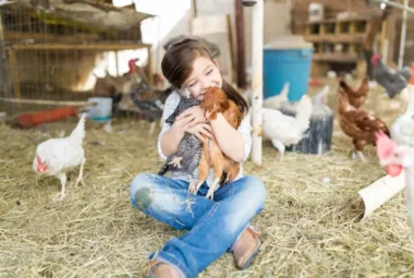 Mental Health Benefits of Raising Chickens