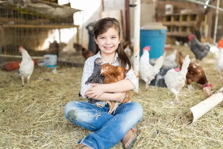 a child holidng her chicken