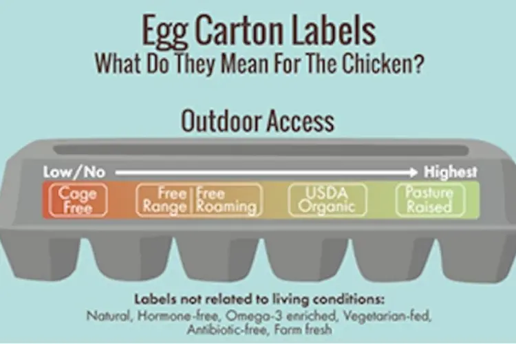 egg carton labels