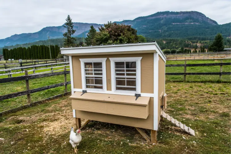 Pre-built Chicken Coop