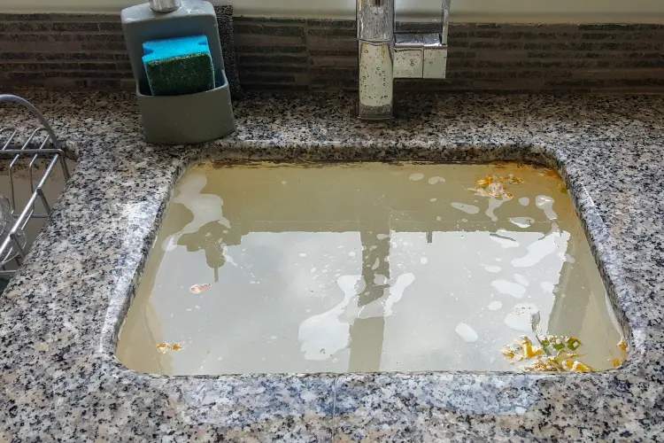 clogged kitchen sink
