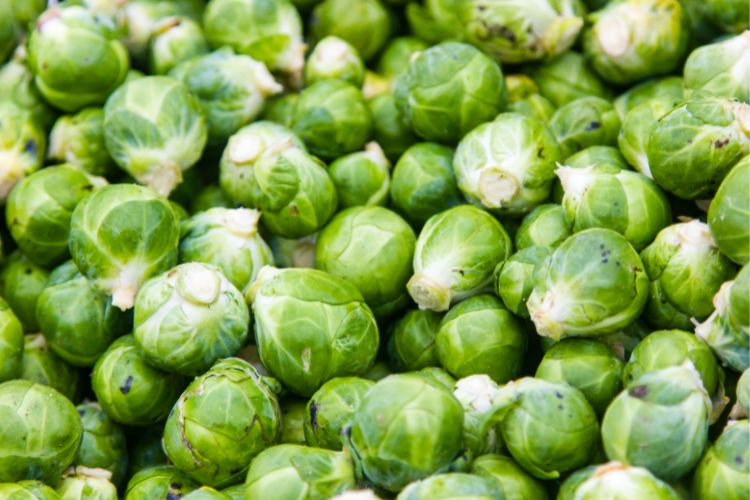 Many brussel sprout