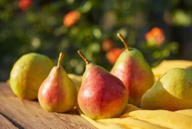 The Surprising Benefits of Feeding Pears to Chickens
